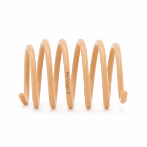Interactive Spring Coil Cat Toy | Flexible Spiral Bouncy Toy for Cats | Indoor Active Play | Pet Island II